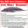 whaling ad